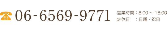 tel:06-6569-9771